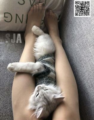 ass日本肉体欣赏pics_成人直接看